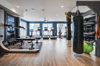 A gym with a variety of equipment including a punching bag.